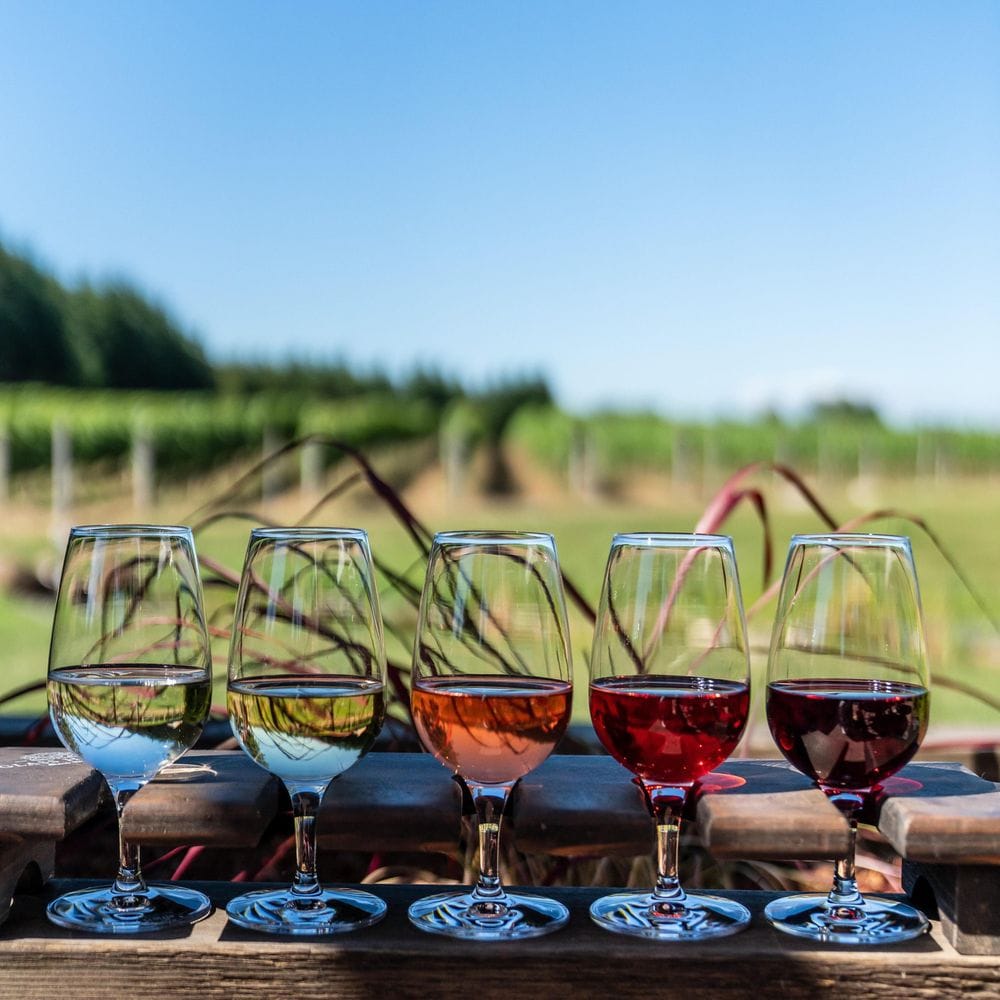 Ultimate Group Experience with a Limo Bus Wine Tour