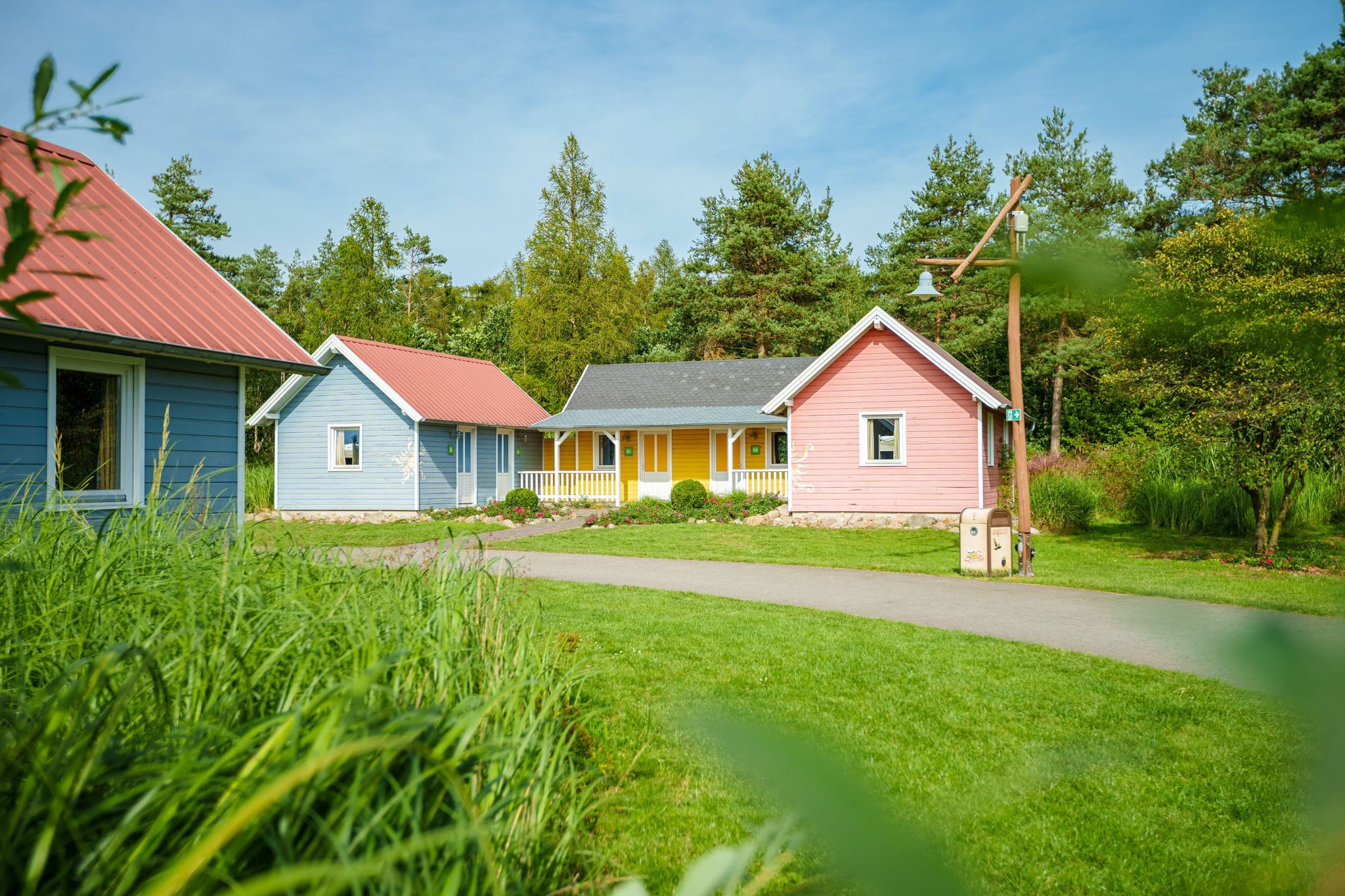 Holiday Camps That Create Lifelong Memories