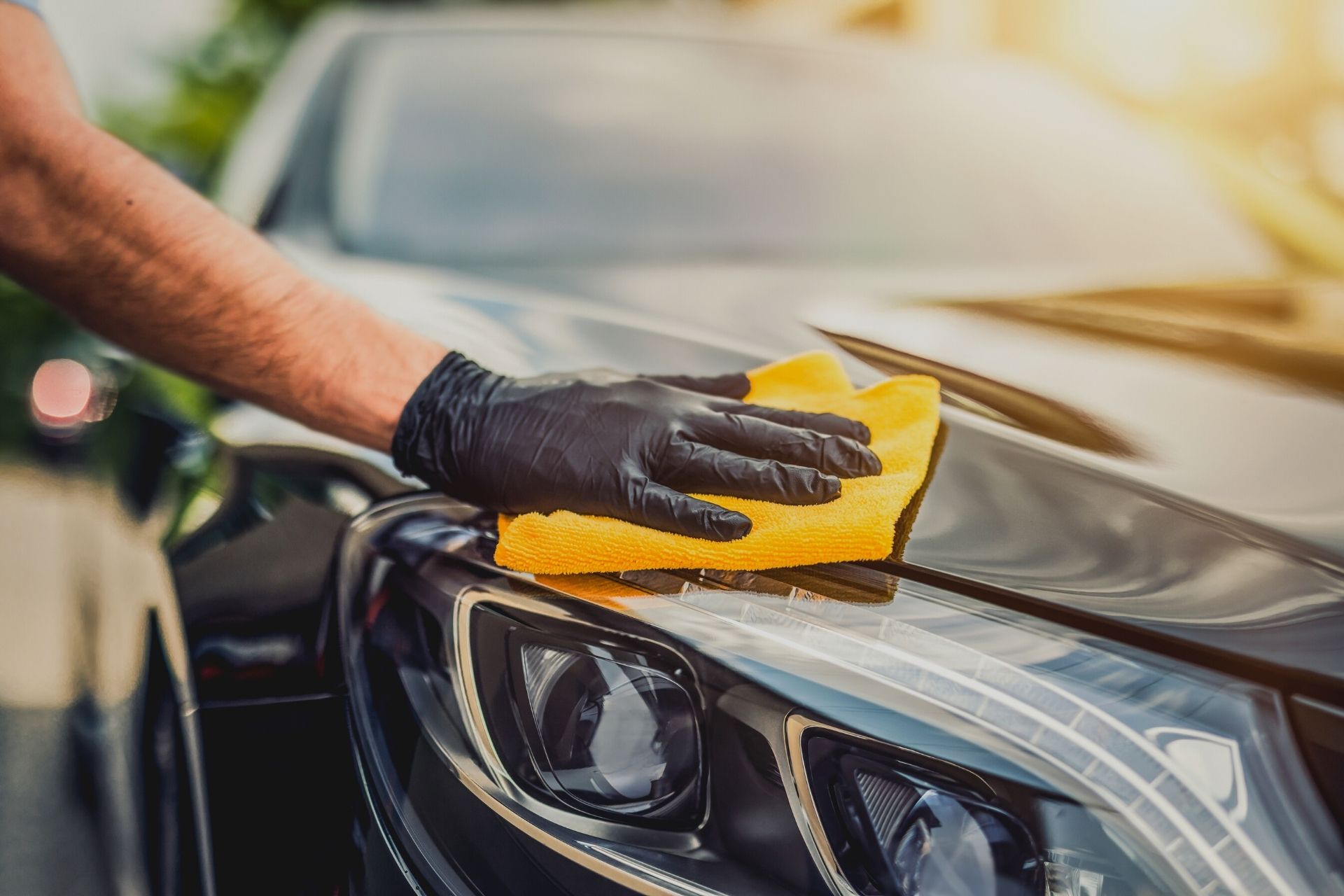 Affordable Car Detailing Gift Certificate Deals – Big Dog Detail