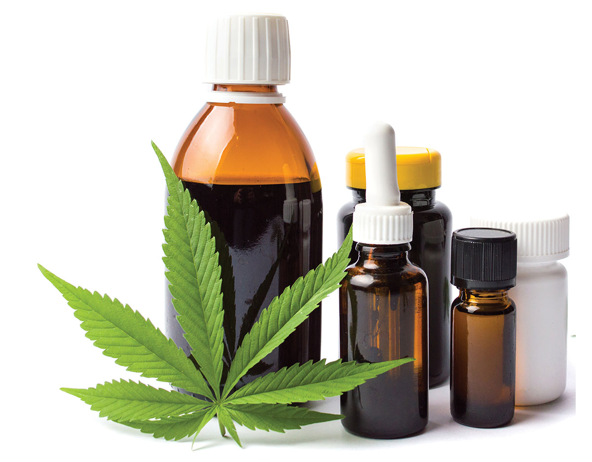 Top CBD Bakery in Miami – Miami Rave