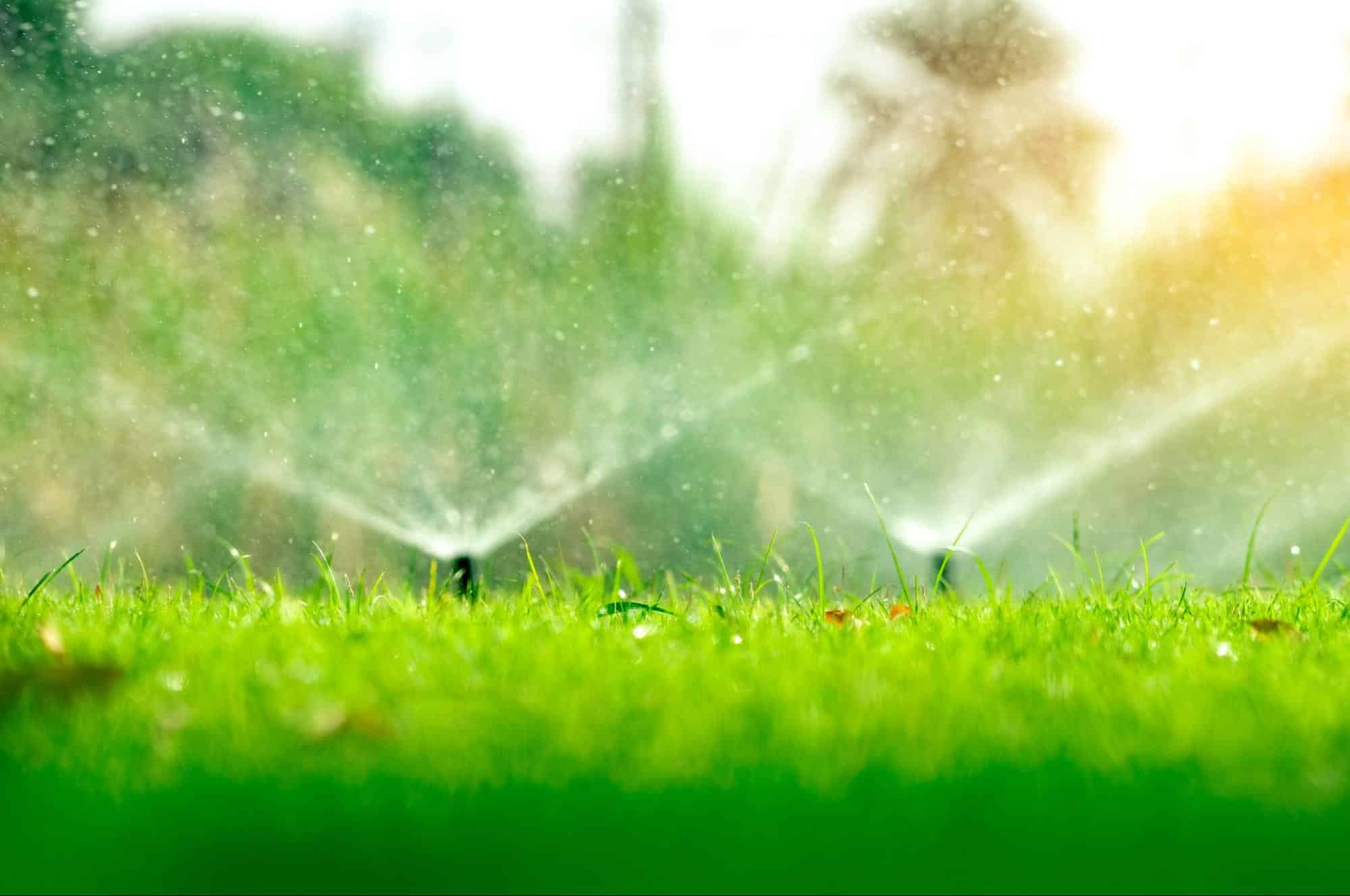 Expert Drainage Services in Springtown , TX to Prevent Flooding and Damage