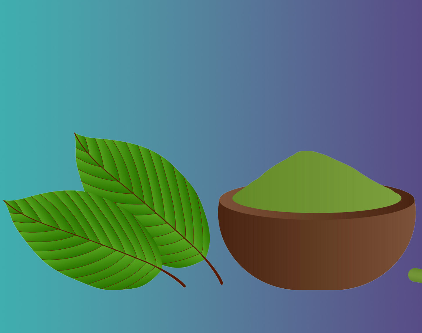 Experience Wellness with the Best Kratom Tea in Chiang Mai