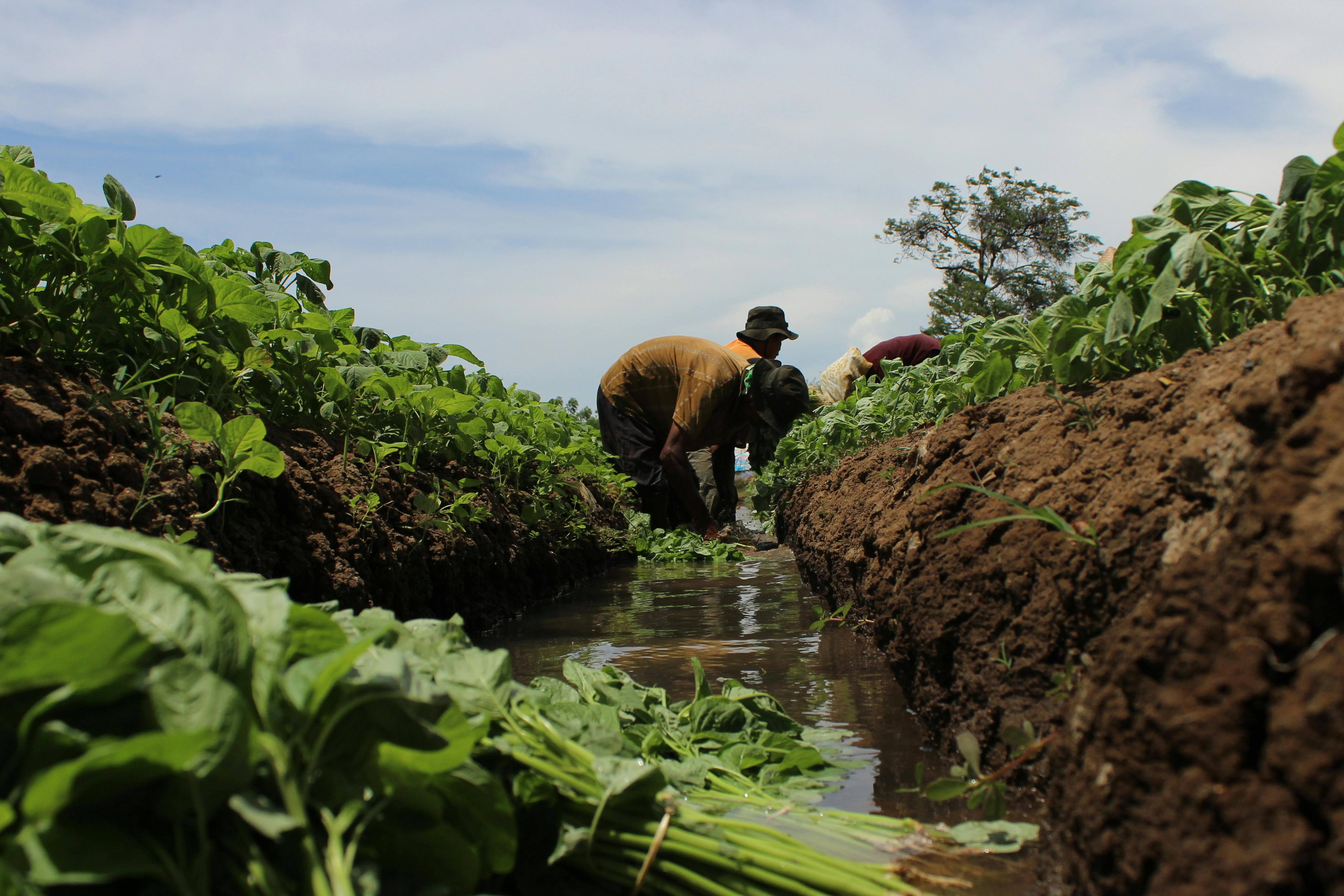 Professional Irrigation Services in White Settlement, TX for Lasting Results