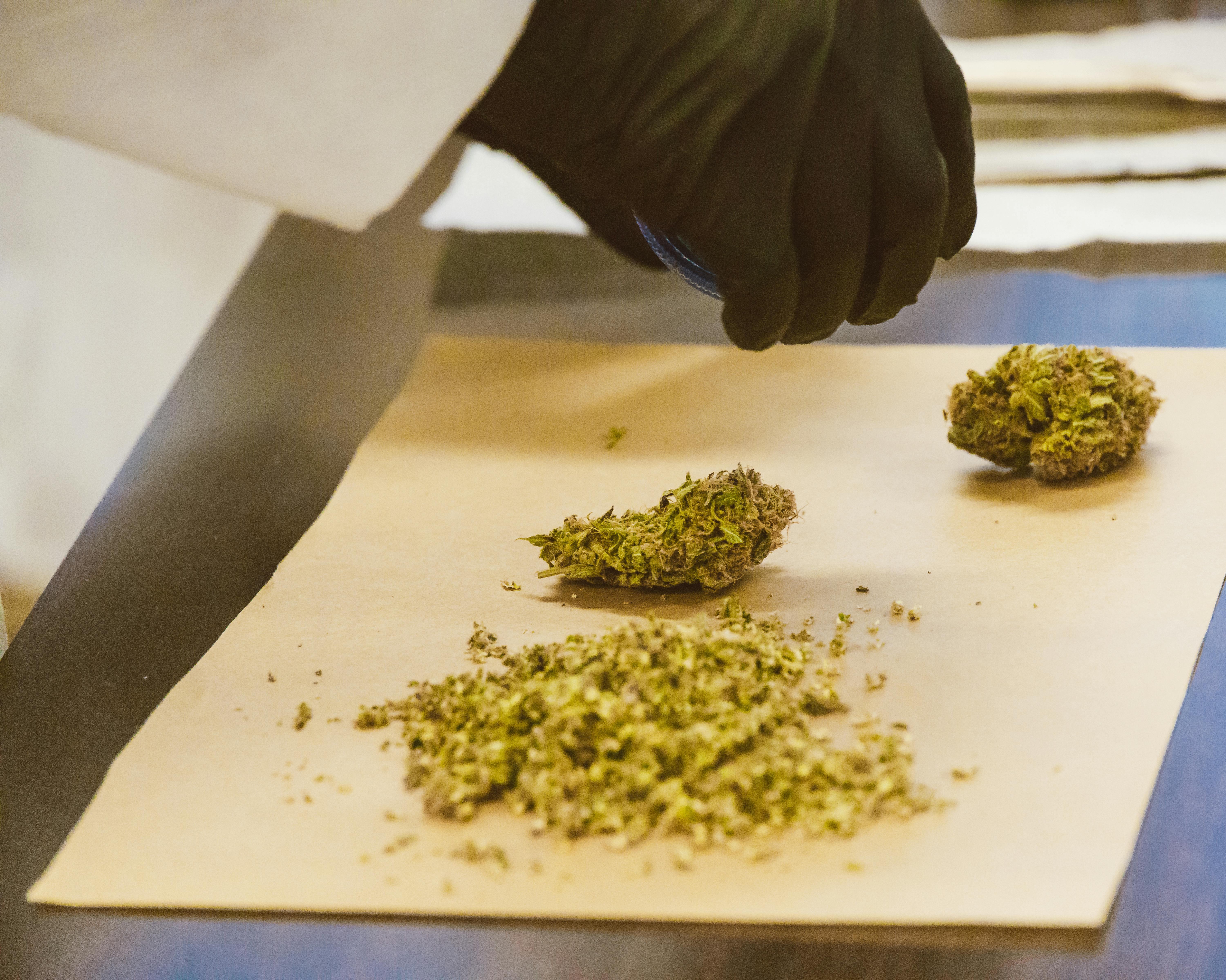 THE RISKS OF TRYING TO BUY THC ONLINE: WHAT EXPERTS ADVISE