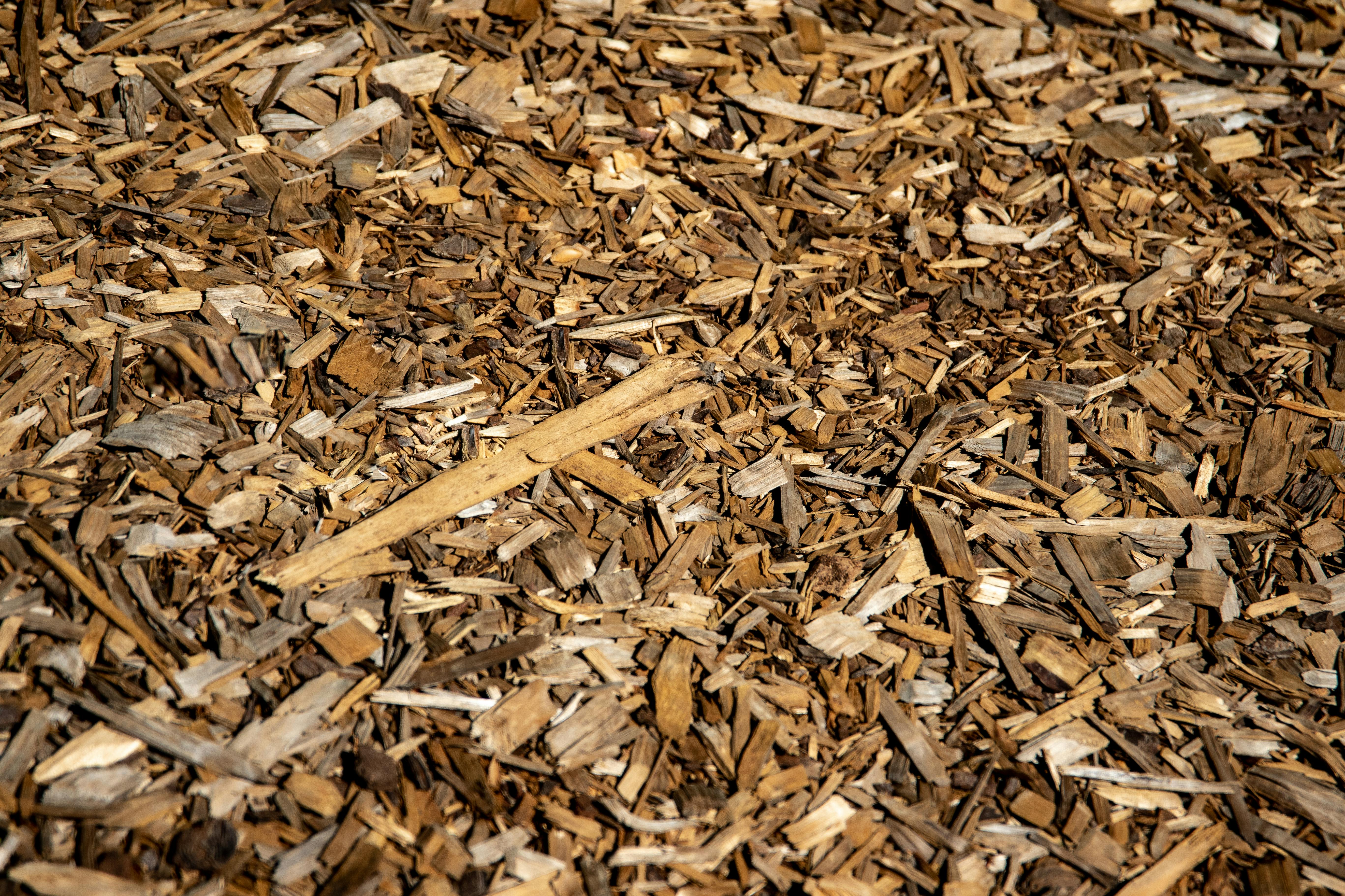 Why Organic Wood Chips Switzerland Are Essential for Eco-Friendly Heating