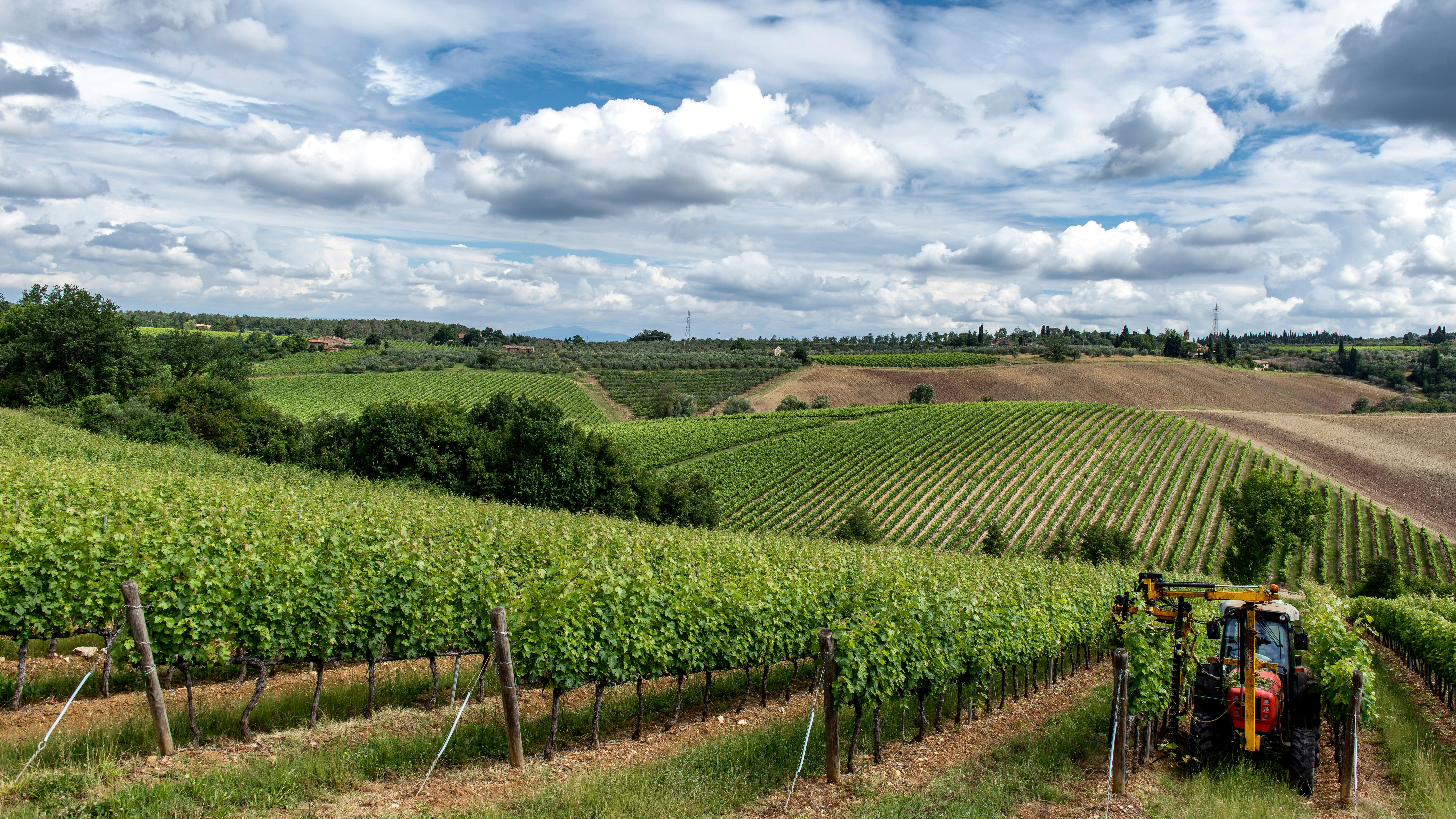 Why a Winery Sacramento Should Be Your Next Weekend Escape