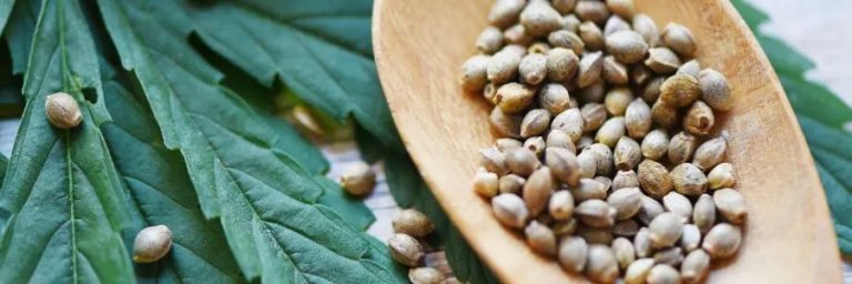 WhatsApp Image 2025-11-26 at 3.51.21 PM (8)