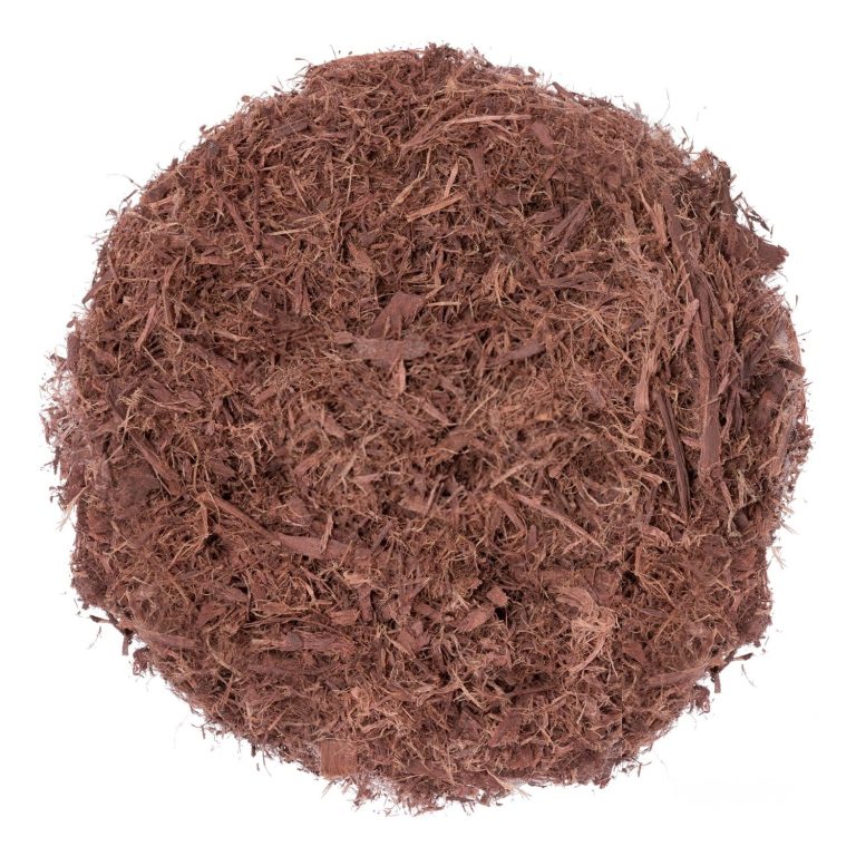 medikonda-mimosa_f5ab2d96-6a3a-4f3a-a5af-5ba810b76dab