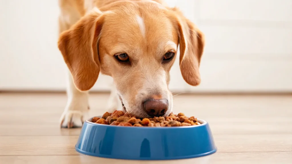 how much does farmers dog cost