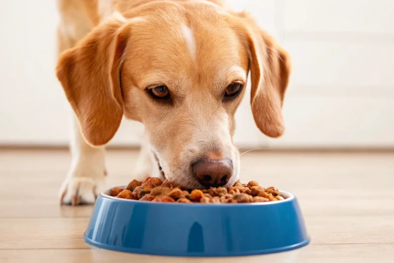 how much does farmers dog cost